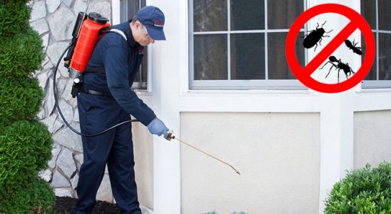 Çiftlikköy Hamam Böceği İlaçlama böcek ilaçlama ve haşere kontrolü — ilaclama-tr.com